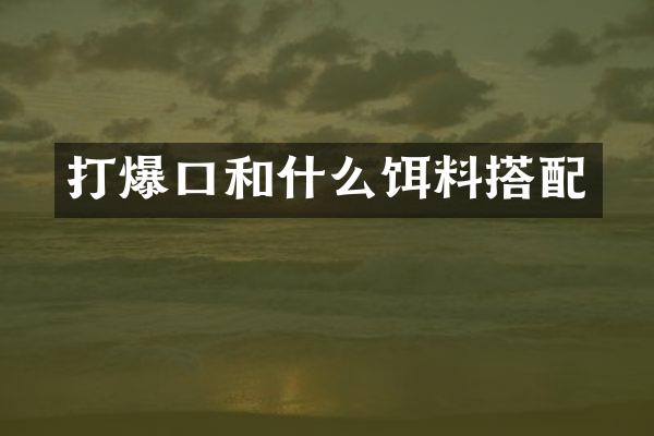 打爆口和什么饵料搭配