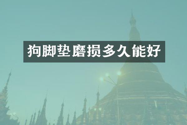 狗脚垫磨损多久能好