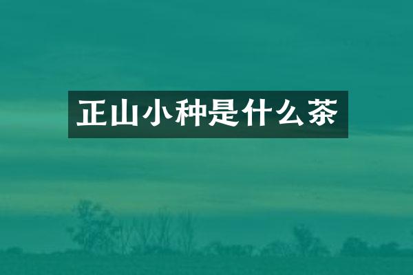 正山小种是什么茶