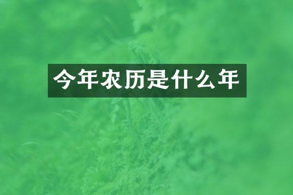 今年农历是什么年