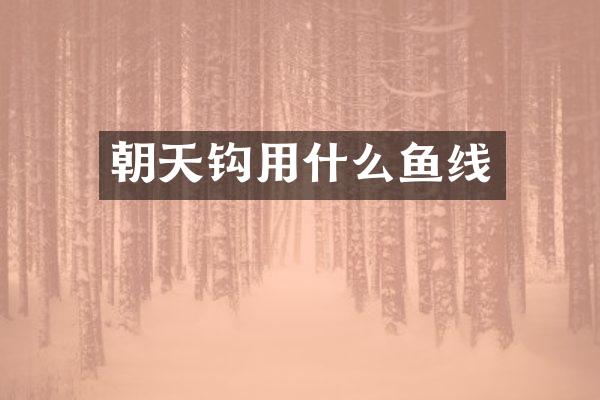 朝天钩用什么鱼线