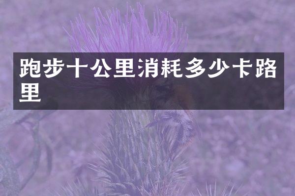 跑步十公里消耗多少卡路里