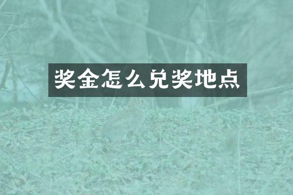 奖金怎么兑奖地点