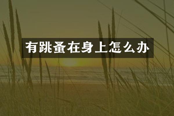 有跳蚤在身上怎么办