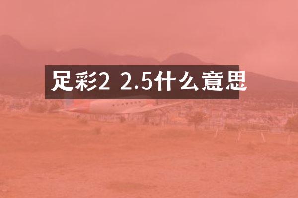 足彩2 2.5什么意思