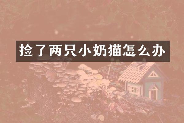 捡了两只小奶猫怎么办