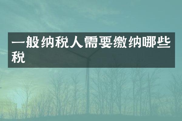 一般纳税人需要缴纳哪些税