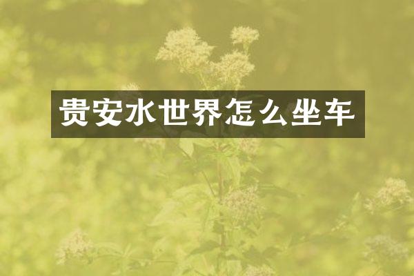 贵安水世界怎么坐车
