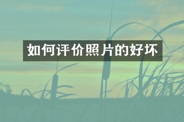 如何评价照片的好坏