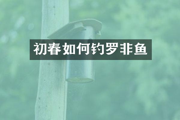初春如何钓罗非鱼