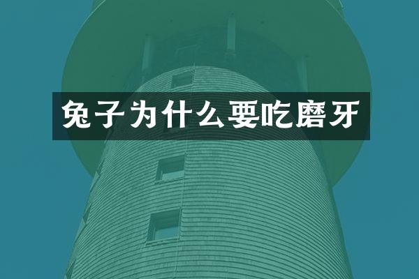 兔子为什么要吃磨牙