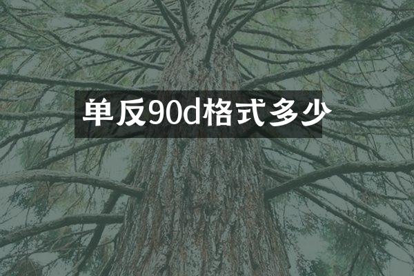 单反90d格式多少