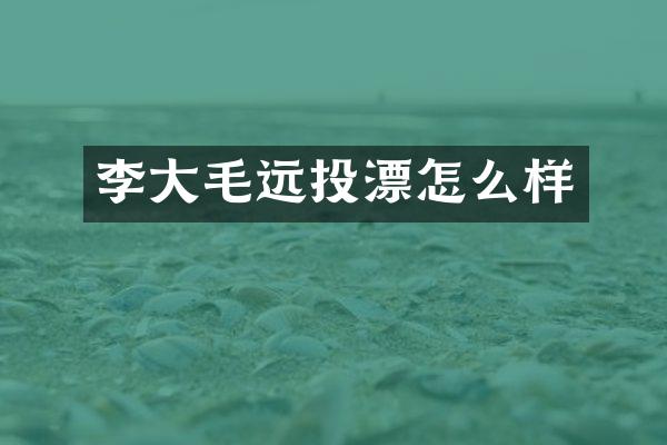李大毛远投漂怎么样