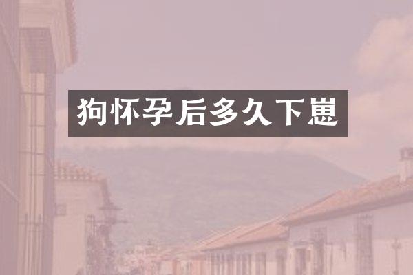 狗怀孕后多久下崽