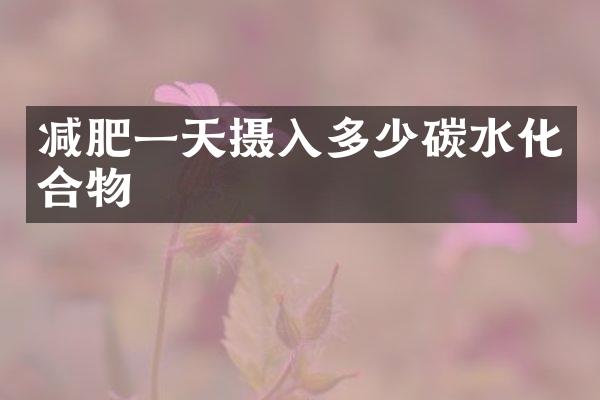 减肥一天摄入多少碳水化合物