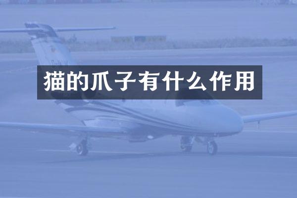 猫的爪子有什么作用