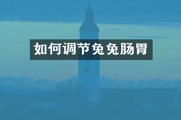 如何调节兔兔肠胃