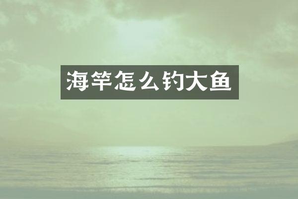 海竿怎么钓大鱼