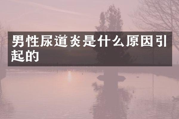 男性尿道炎是什么原因引起的