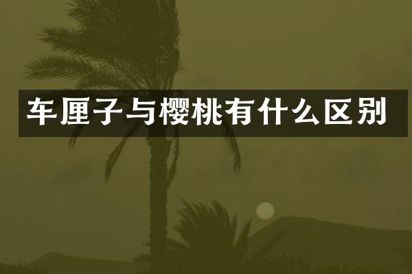 车厘子与樱桃有什么区别