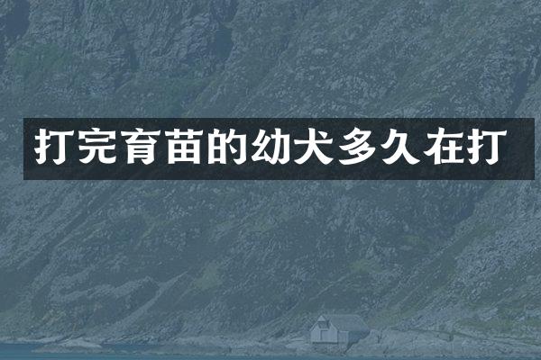 打完育苗的幼犬多久在打