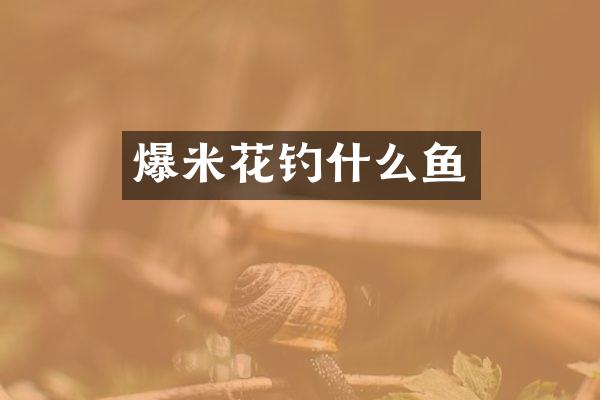 爆米花钓什么鱼