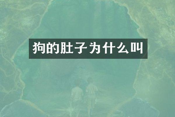狗的肚子为什么叫
