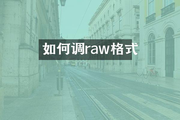 如何调raw格式