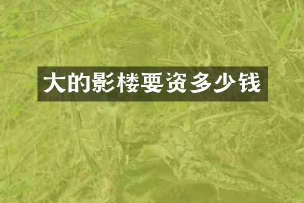 大的影楼要资多少钱