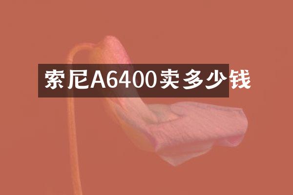 A6400卖多少钱