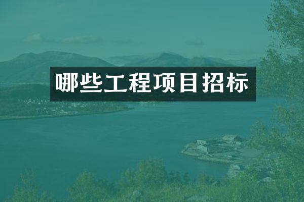 哪些工程项目招标