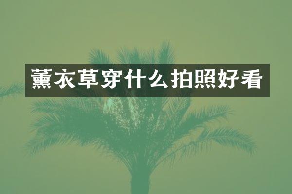 薰衣草穿什么拍照好看