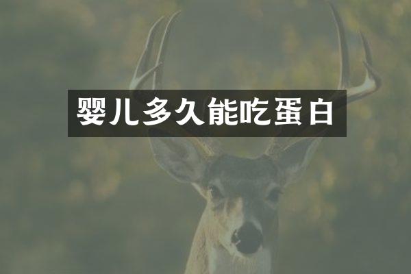 婴儿多久能吃蛋白