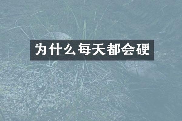 为什么每天都会硬