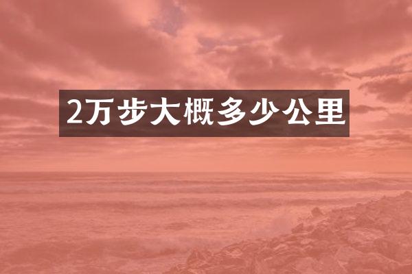 2万步大概多少公里