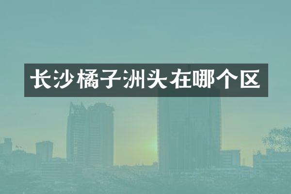 长沙橘子洲头在哪个区