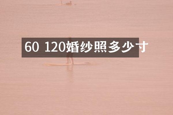 60 120婚纱照多少寸