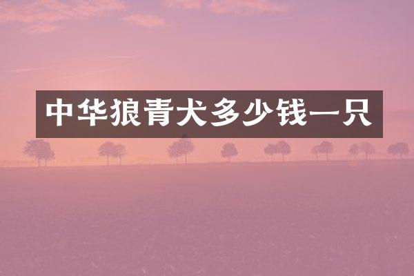 中华狼青犬多少钱一只