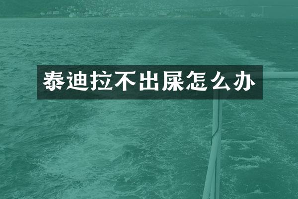 泰迪拉不出屎怎么办