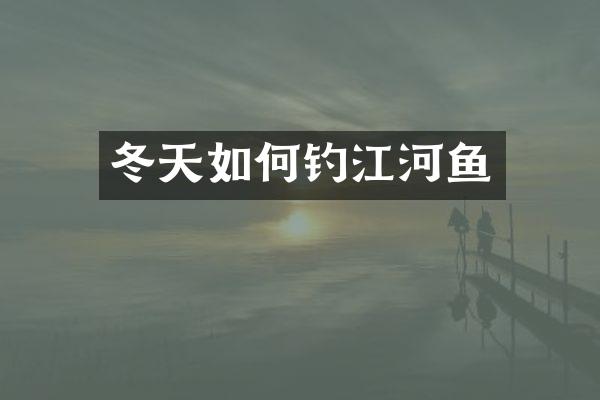 冬天如何钓江河鱼