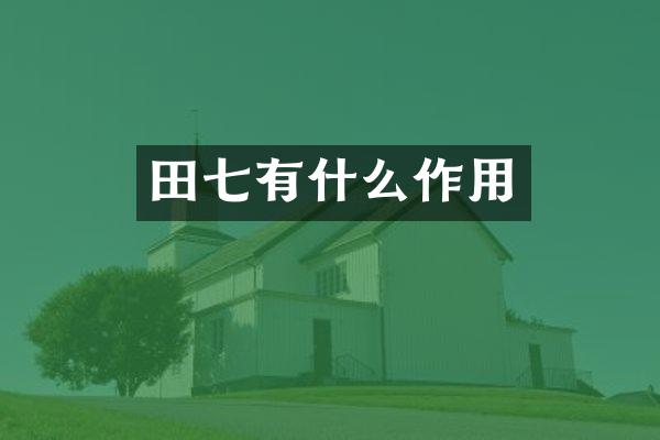 田七有什么作用