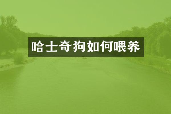 哈士奇狗如何喂养