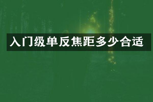 入门级单反焦距多少合适