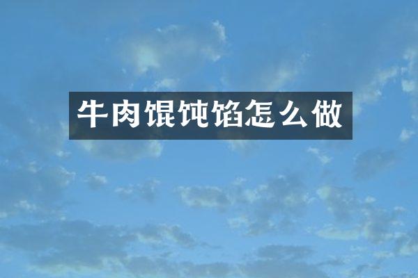 牛肉馄饨馅怎么做