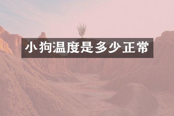 小狗温度是多少正常