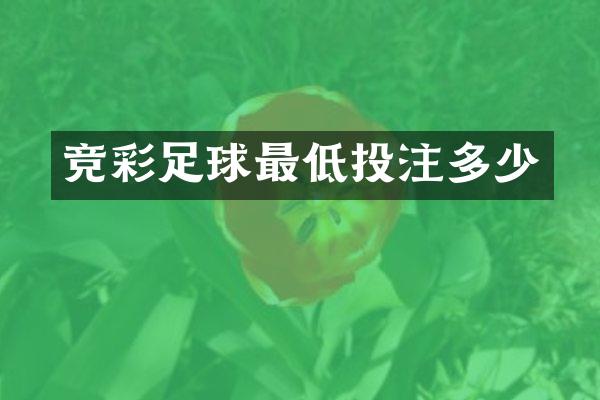 竞彩足球最低投注多少