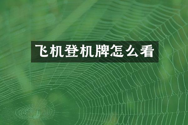 飞机登机牌怎么看