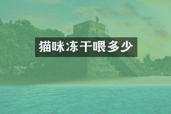 猫咪冻干喂多少