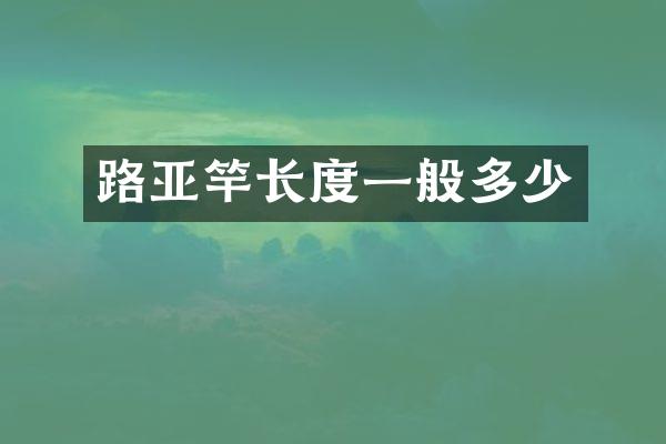 路亚竿长度一般多少