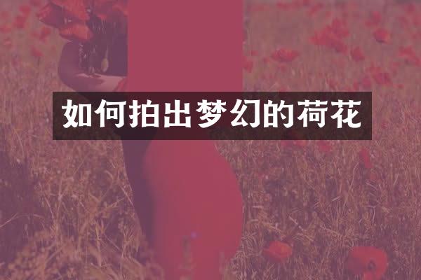 如何拍出梦幻的荷花